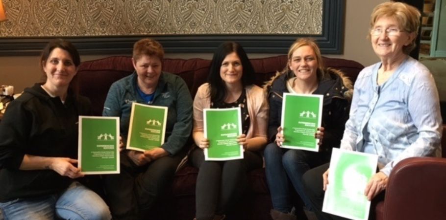 Wexford Project Team All 2
