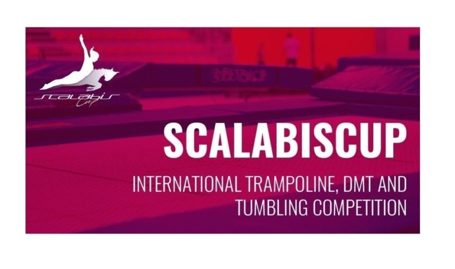Scalabis 2 Website