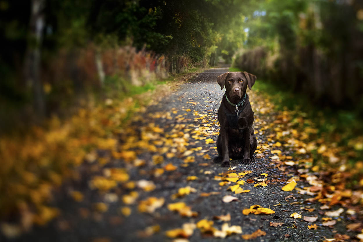 Hire a Camera SAMPLE IMAGES We Now Stock Lensbaby for Fuji X Mount!