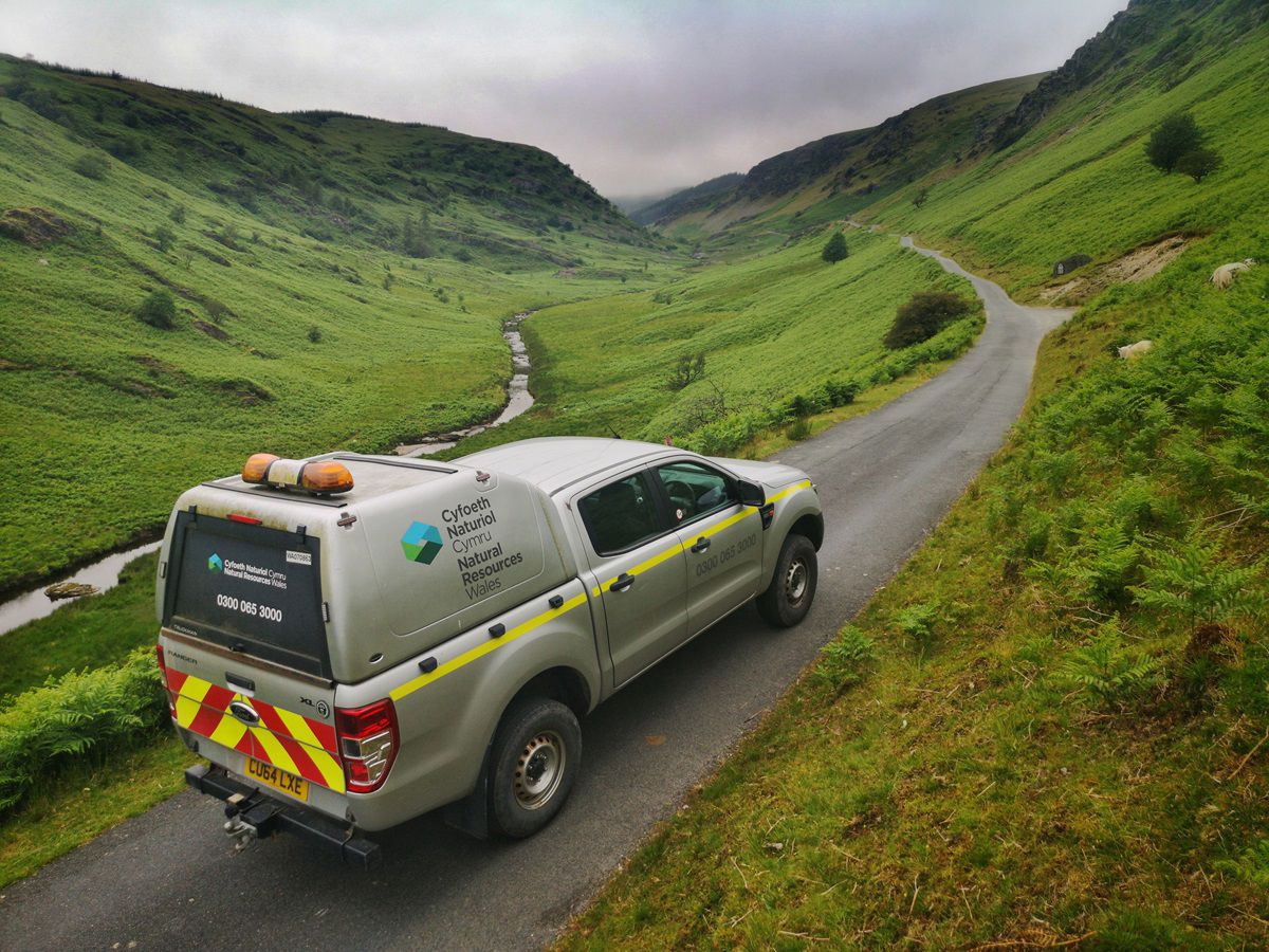 Header gallery image 2