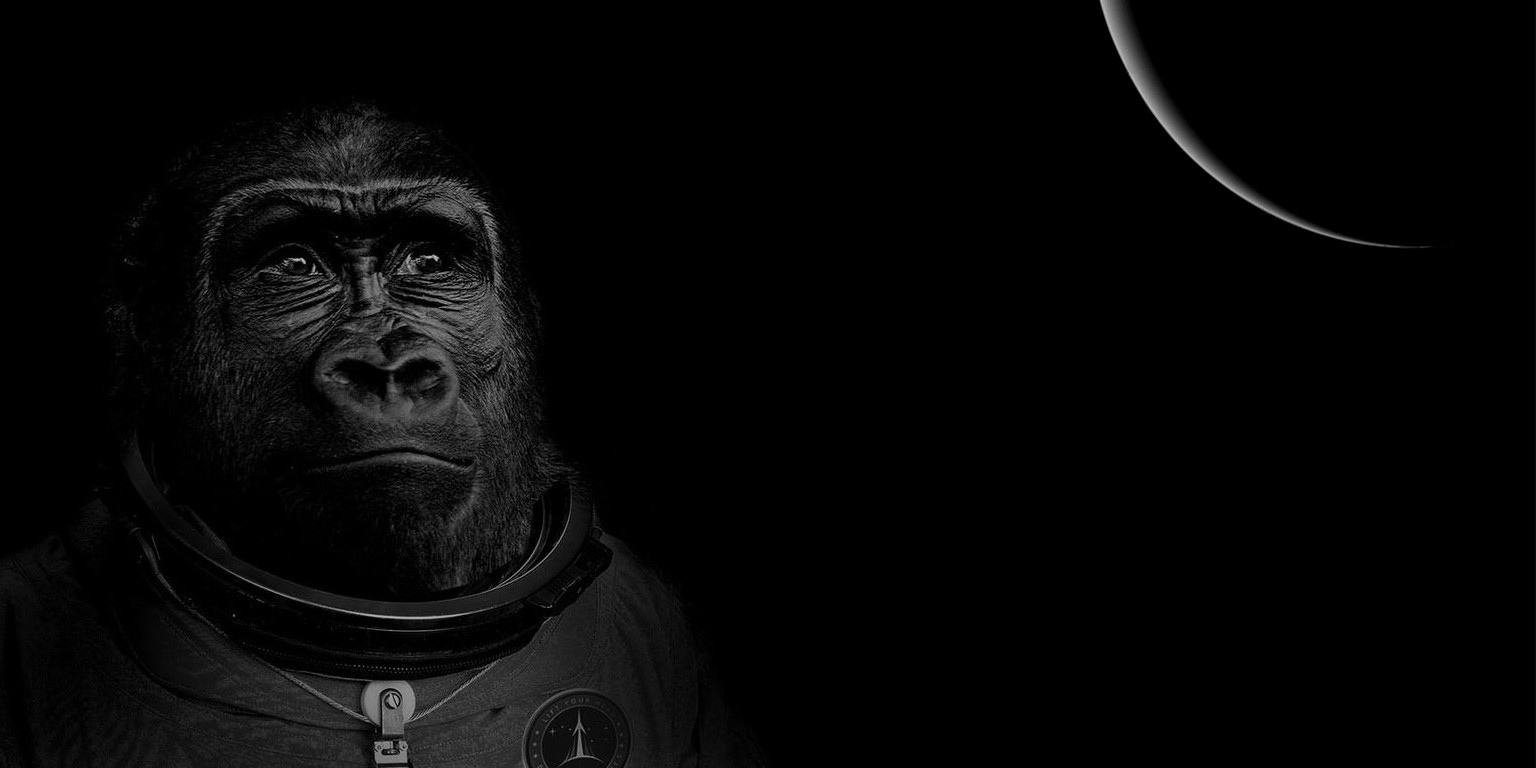 Header gallery image 1