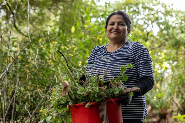 Header gallery image 2