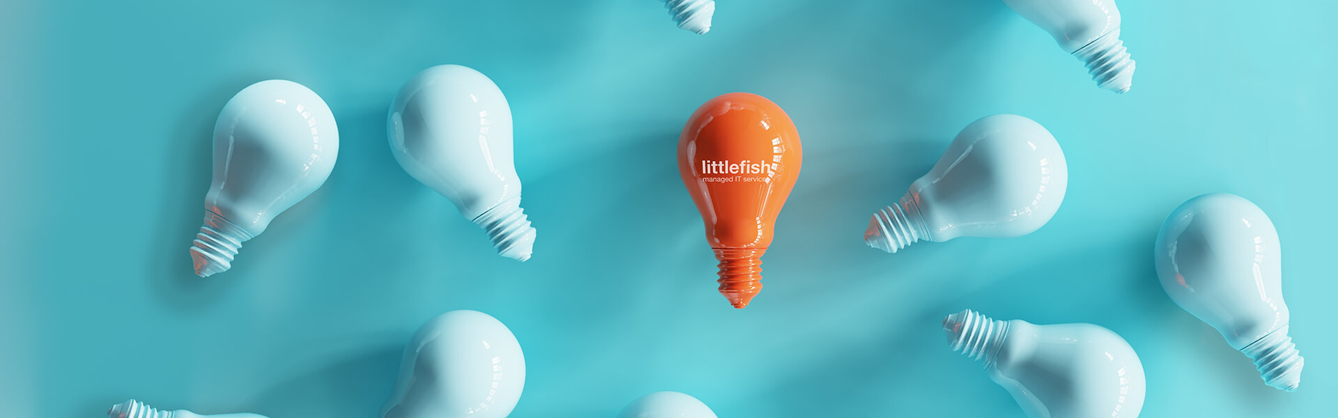 Header gallery image 1