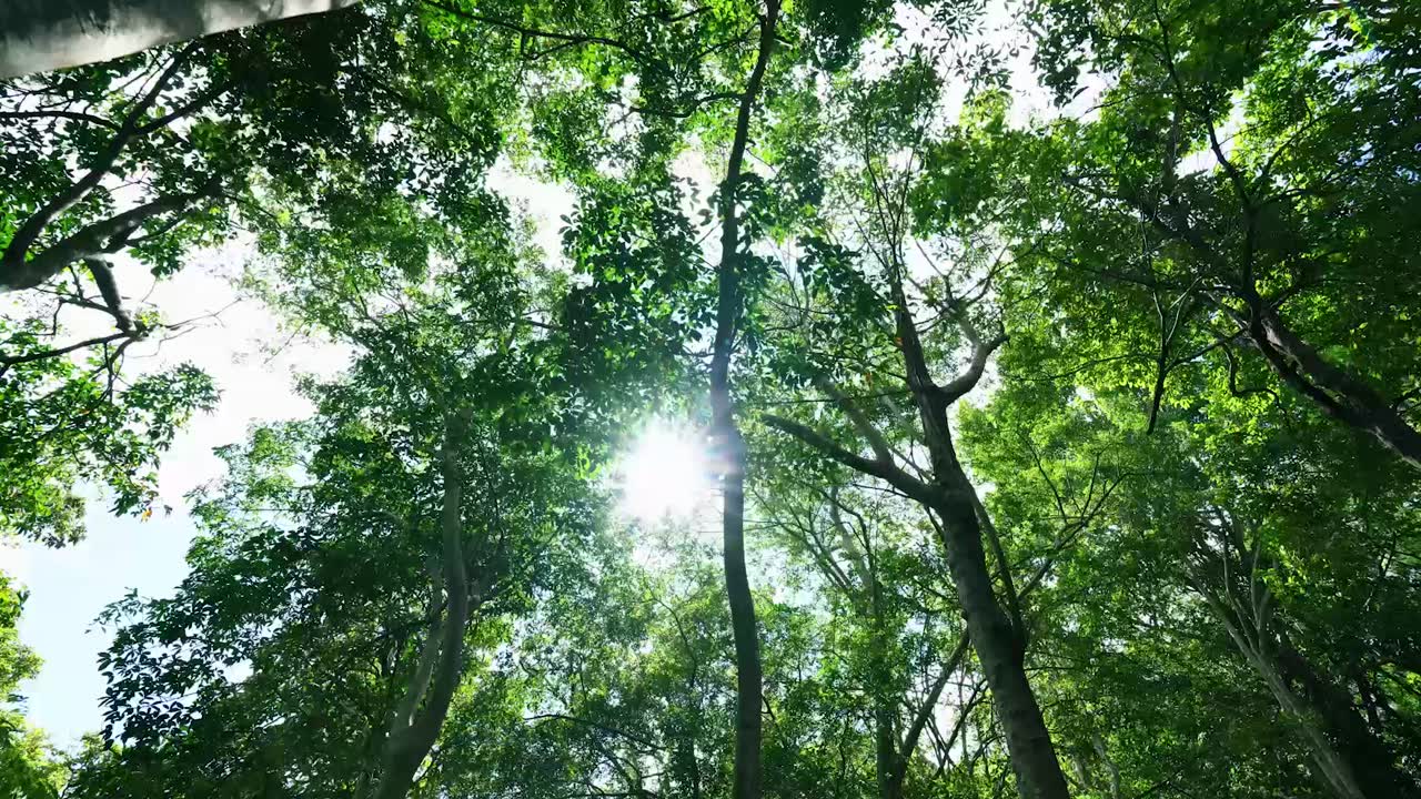 Header gallery image 2