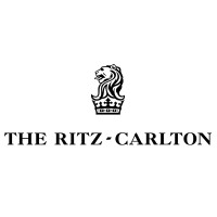 Big logo