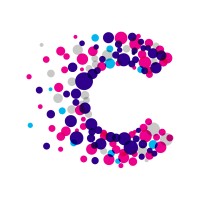 Big logo