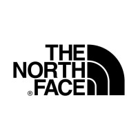 Big logo