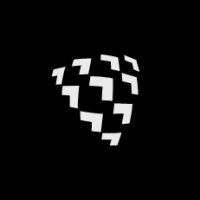 Big logo