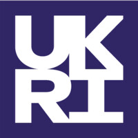 Big logo