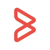 Big logo