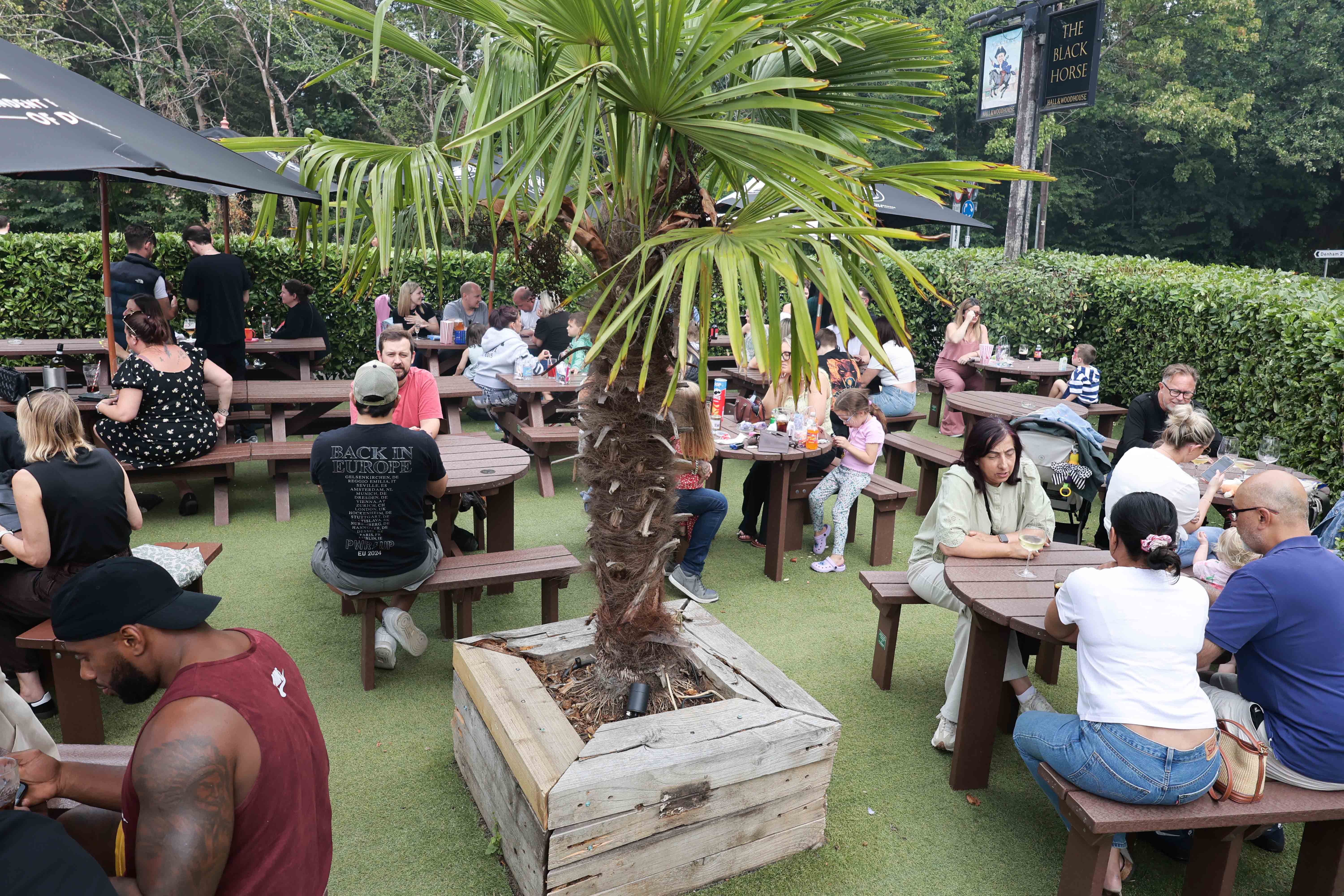 Summer Party Image 17