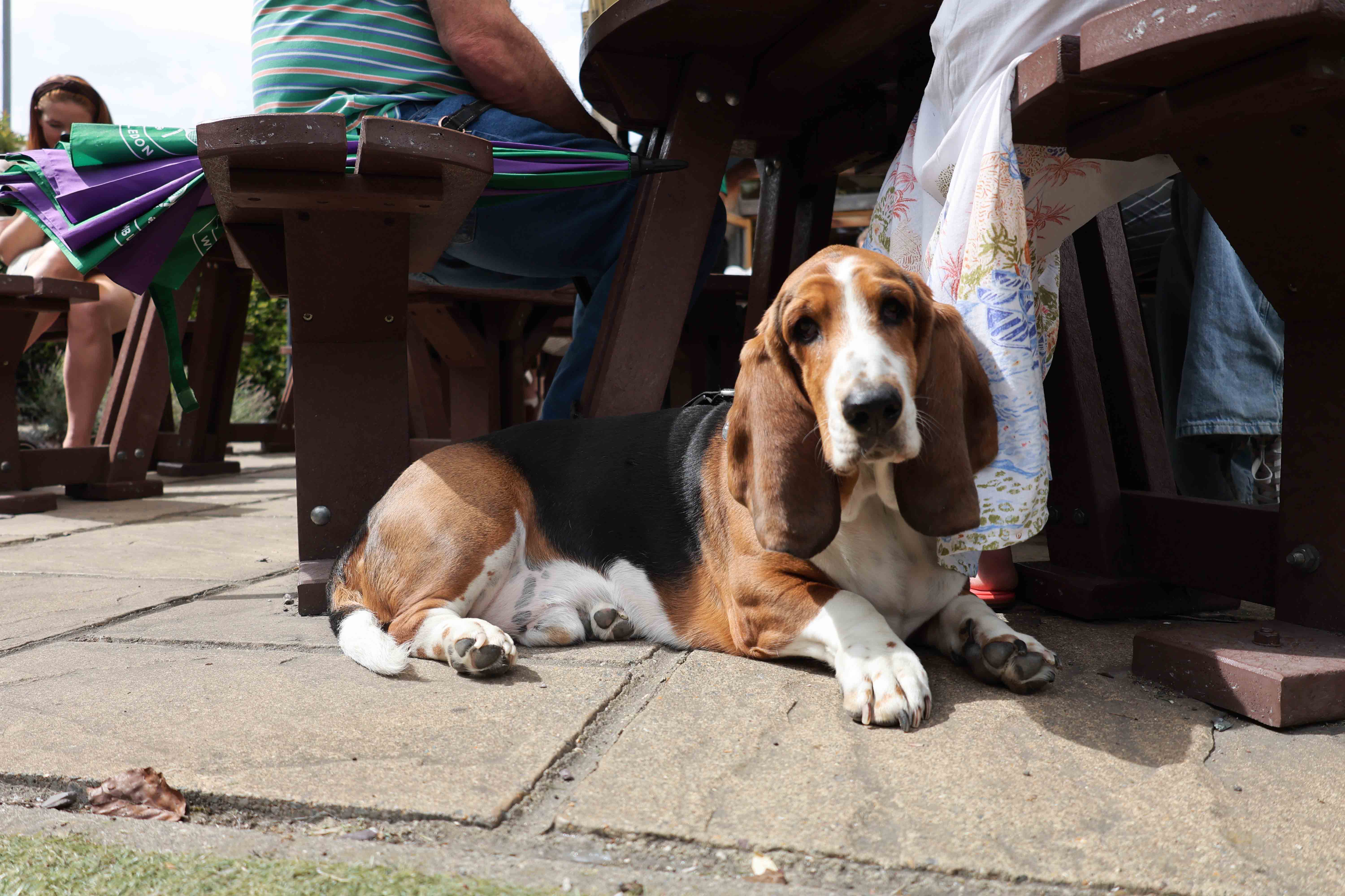 Summer Party Image 7