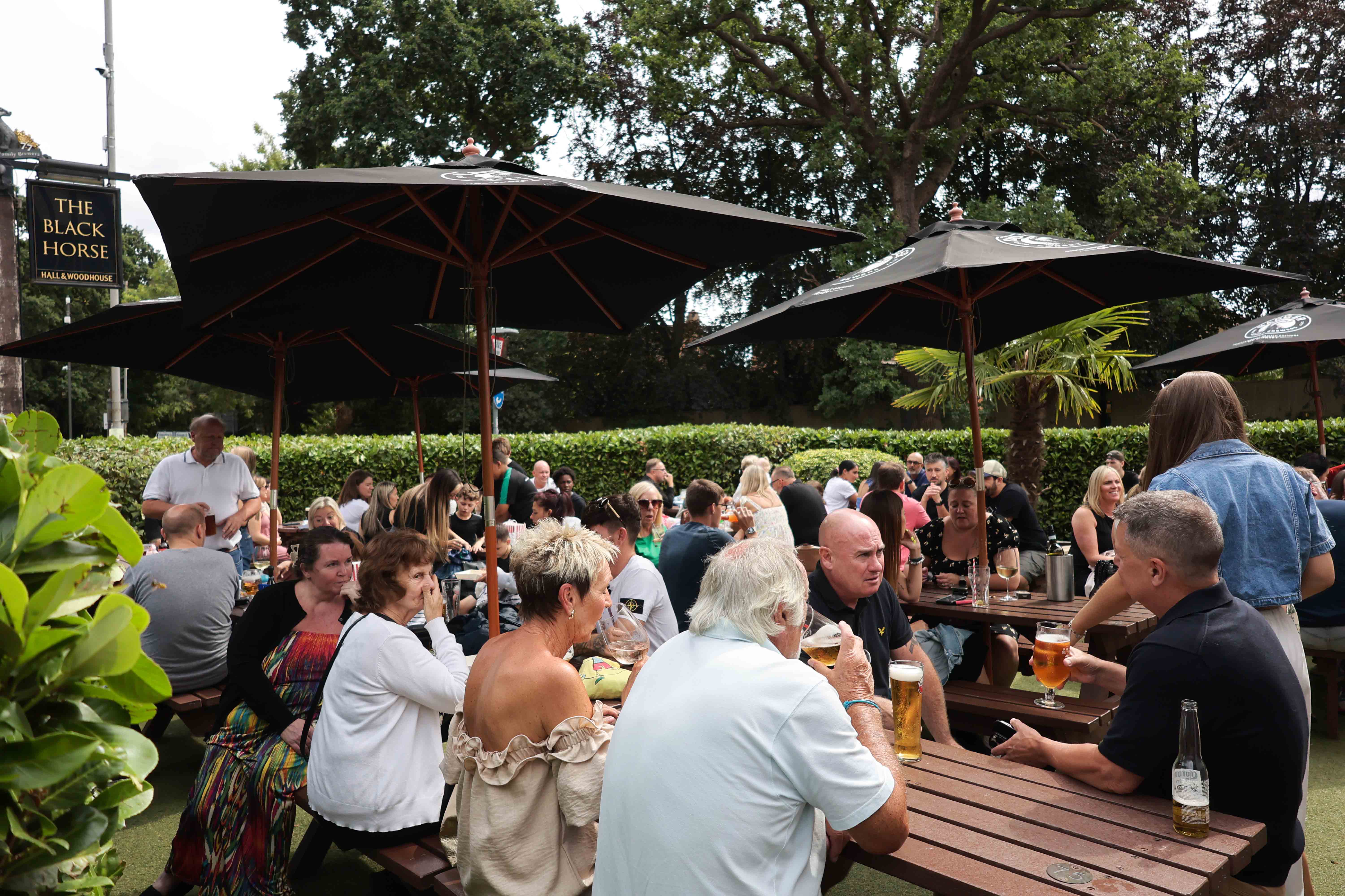 Summer Party Image 24