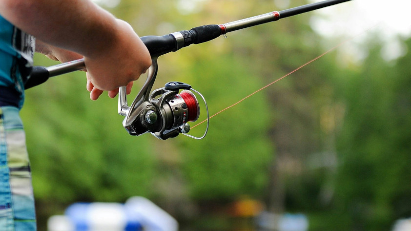 relevant image