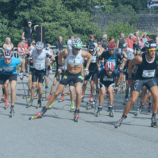 Alliansloppet 2014