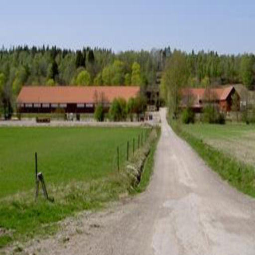 Trollhättans Fältrittklubb