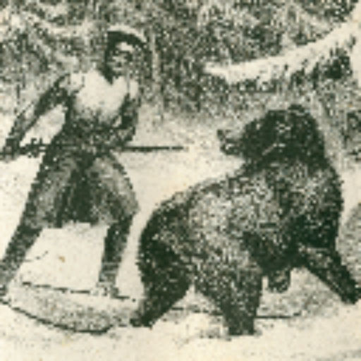 I björnjägare Lloyds fotspår - Jägaren och zoologen