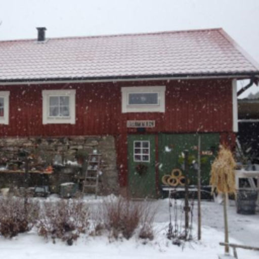 Möt julen på landet