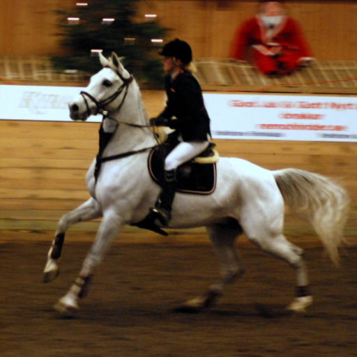 Adventshoppet