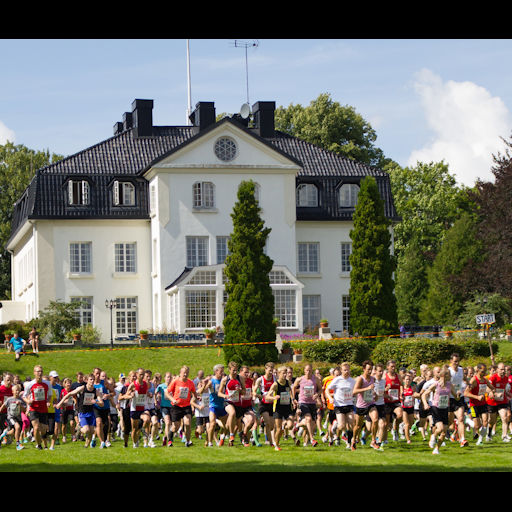 Baldersnäsjoggen