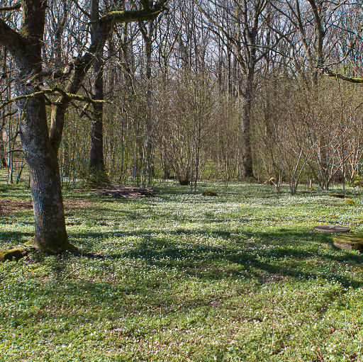 Tipspromenad vid Hembygdsgården.