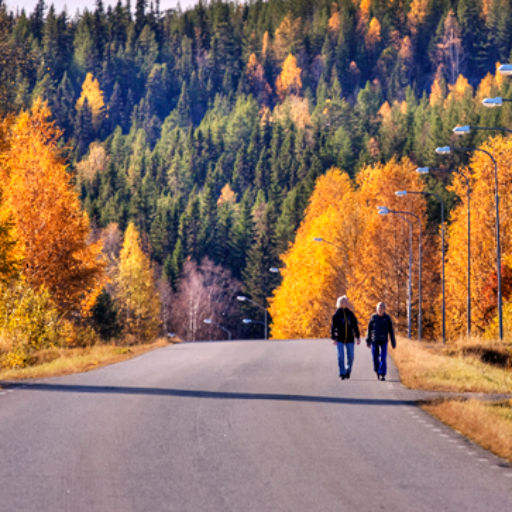 Promenader