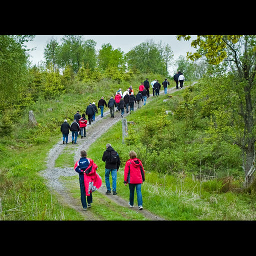 LINNEMARSCHEN m/IML & NVB