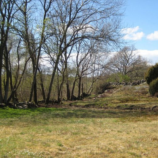 Guidade naturvandringar