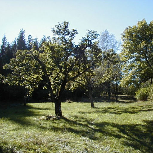 Familjedag i torpmiljön runt Idåsen