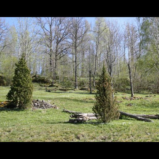 Försommarvandring i gammalt kulturlandskap