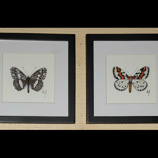 Geometri fåglar och fjärilar - Utställning