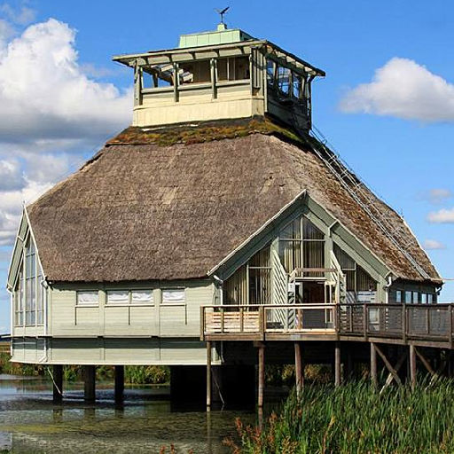 Guidade naturvandringar