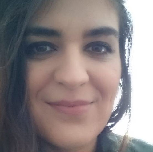 Från Trollhättan till Israel och Palestina