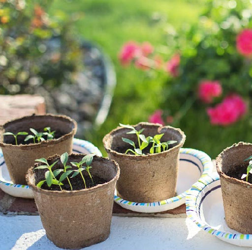 Sticklingbytardag på Stadsbiblioteket