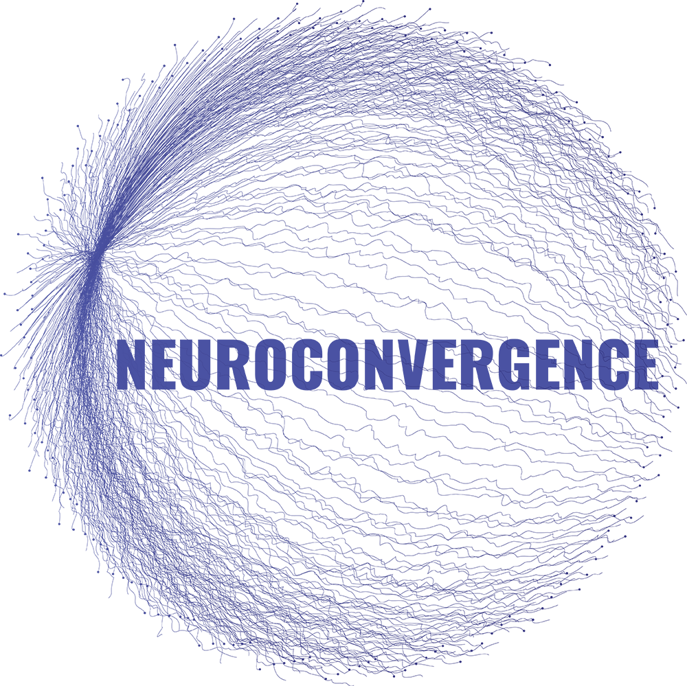 Neuroconvergence logo blue