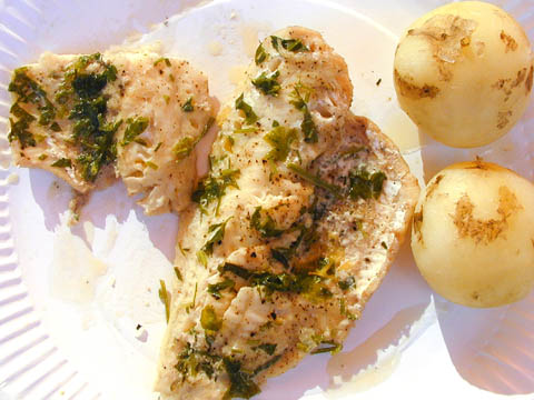 fisk