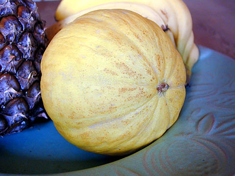 melon