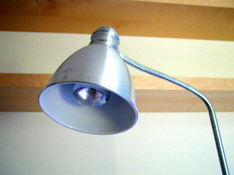 lampa
