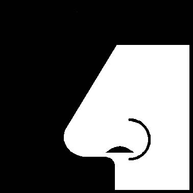 näsa
