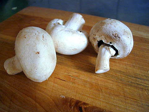 sieni