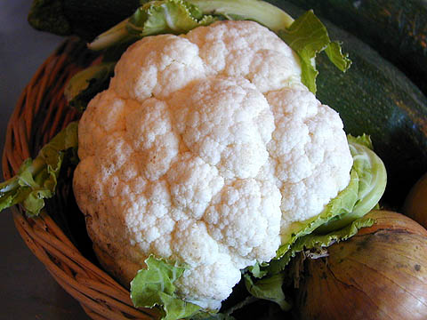 blomkål