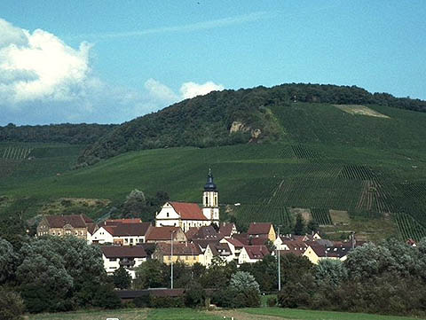 by