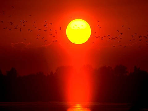 sol