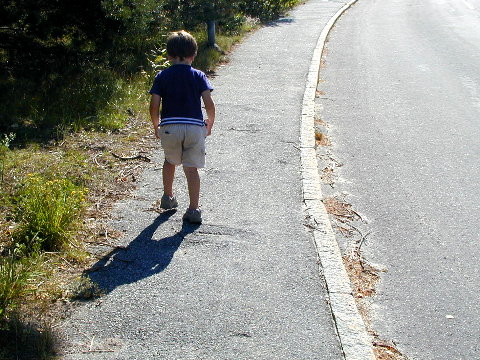 gå hem