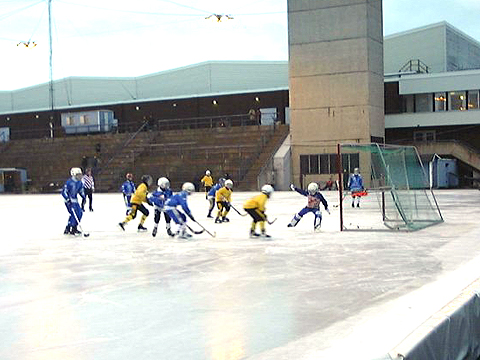 bandy