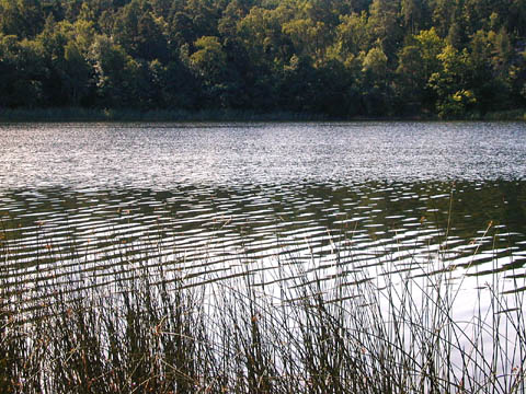 sjö