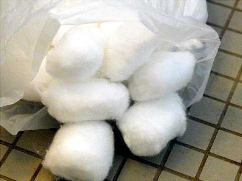 bomull