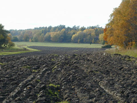 åker