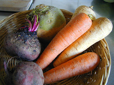 juurekset