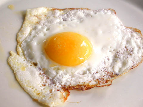ägg
